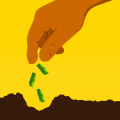 Everything You Need to Know About 401(k) Plans